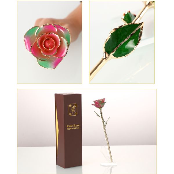 Long Stem Rose Dipped in 24k Gold  Gold Trimmed Rose with Gift Box and Clear Display Stand Best Gift for Christmas Gifts