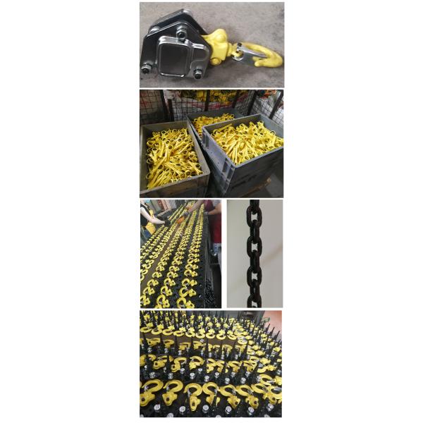 OEM рука 0,25 тонн 250 Kg привелся в действие мини таль с цепью рычага