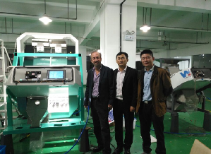 220V l'exactitude de tri élevée Mini Color Sorter Machine For a échaudé le riz