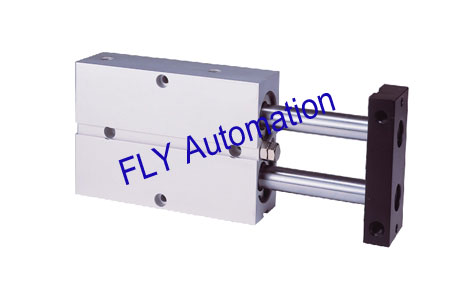 TN double shaft Pneumatic cylinder, Φ10mm,Φ16mm,Φ20mm,Φ25mm,Φ32mm