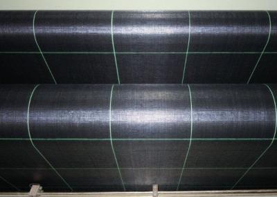 Plastic PP / PE Landscape Weed Control Fabric Against The Insect Available