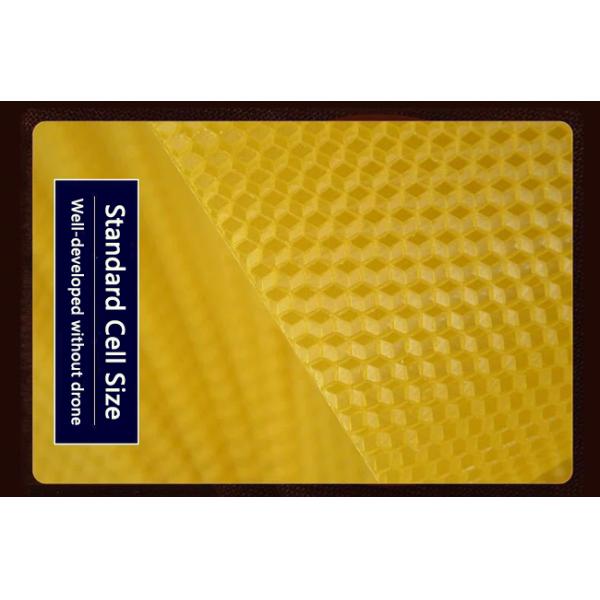 Grade A type Beeswax foundation sheet for Beekeeping