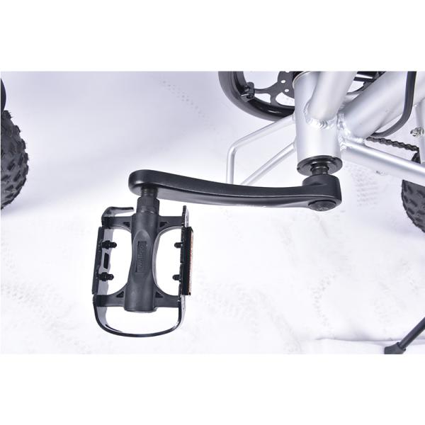 6Speed Fat Wheel Folding Electric Bike , 120KG Load Folding Mountain Ebike