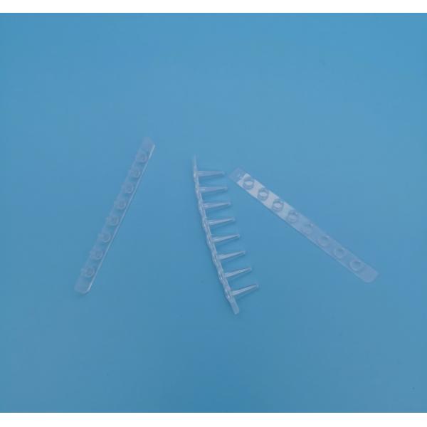 Transparent 0.2 Ml PCR Tubes 8 Tube Strips Molecular Biology Reaction Strip Tube