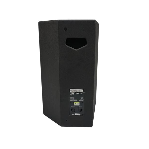Customized Passive PA Speaker System 15 Inch 500W Low Frequency