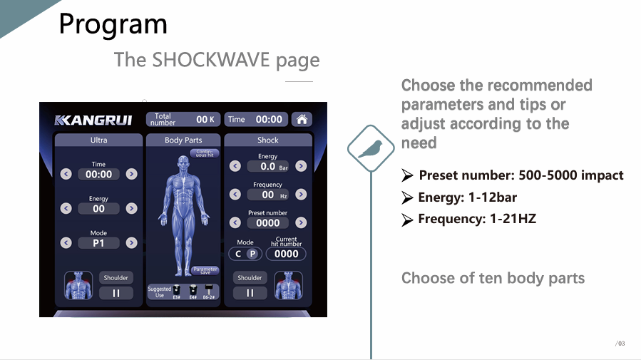 2Handles Pain Relief ED Therapy Ultrasound Ballistic Pneumatic Shockwave Therapy Device