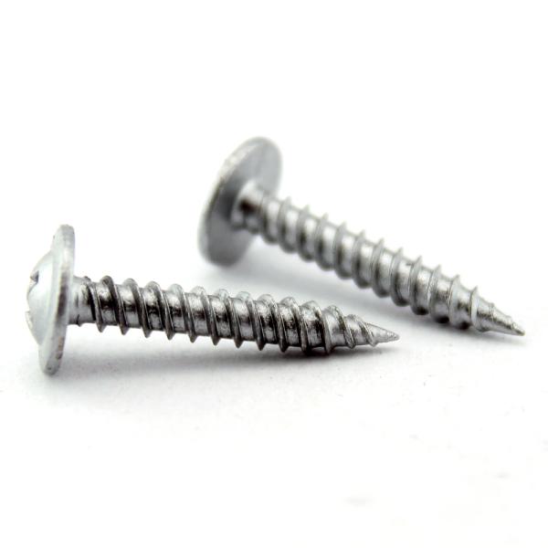 Carbon/Stainless Steel Truss Head Self-Drilling Screw from Factories with DIN Standard