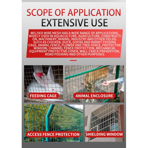 Продавать хорошо Новый Тип фабрики низкая цена ПВХ покрытая сетка из проволоки / Куриный дом производитель сетки из проволоки