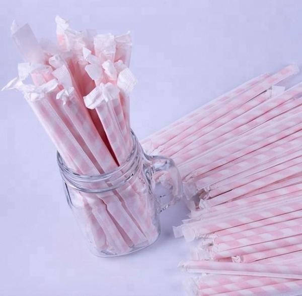 Everyday Bamboo Ecologic Paper Straw Package for Sustainable Living Alternatives
