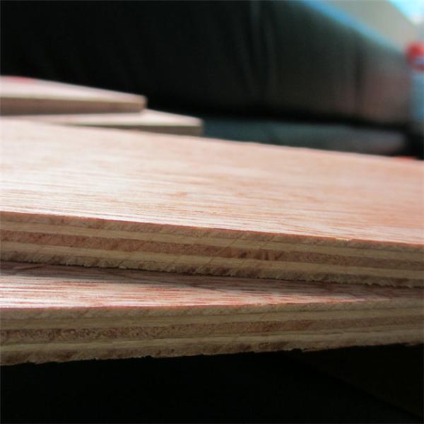 Bintangor Face 11.5mm 7 Ply Ultralight Plywood