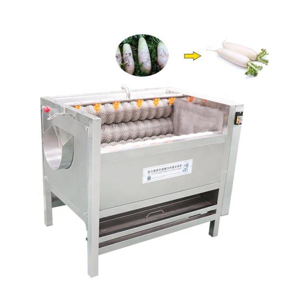 Multifunctional small hair roller peeling cleaning mustard brush cleaning machine