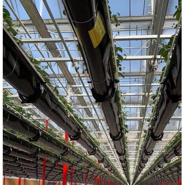 Двухслойная сельскохозяйственная интеллектуальная теплица с солнечным светом с сеткой против насекомых