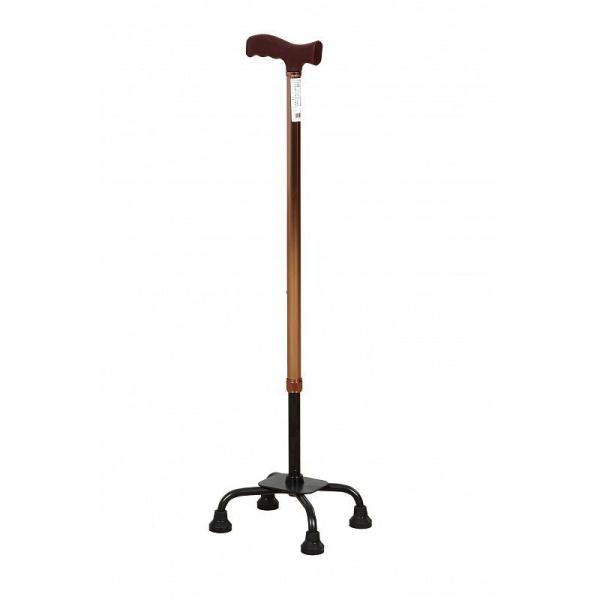 Cane
