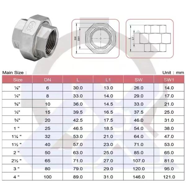 Plata 201 304 316 Unión Flat Female a Male NPT BSPP BSPT Conexión de acero inoxidable