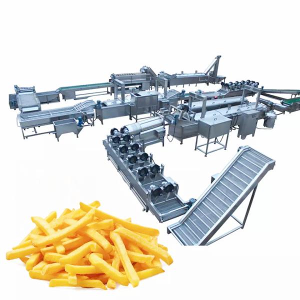 Stainless Steel Commercial Electric Frying Machine Deep Fryer For Food Cooking Food processing