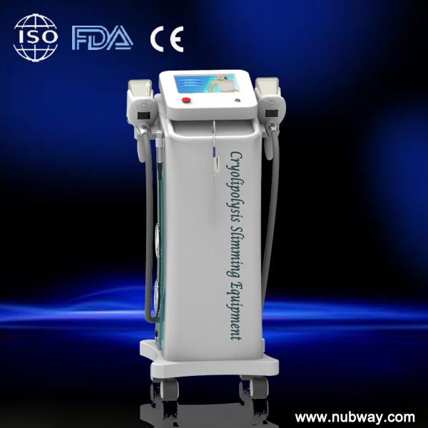 Professional Coolsculpting / Cryolipolysis slimming machine for weight loss, body shaping