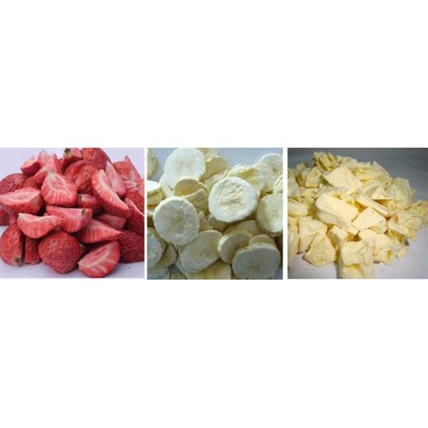 Herb Roots Powder 35-150C Industrial Vacuum Dryer Electricity Heating