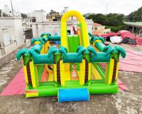 Corrediça inflável do salto da árvore de coco do campo de jogos do parque do safari