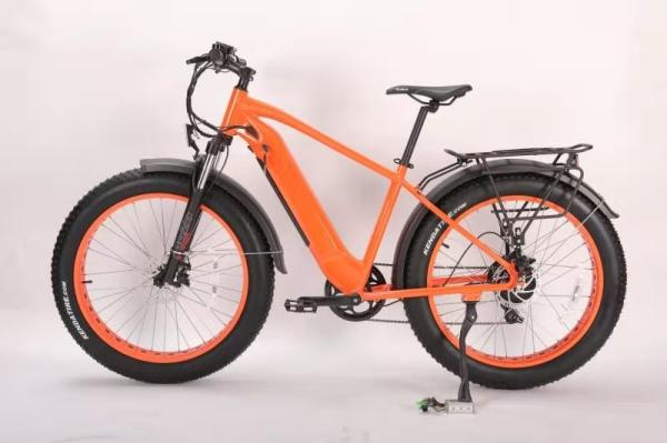Mechanical Disc Brake Electric Assist Mountain Bike 500W 750w high speed