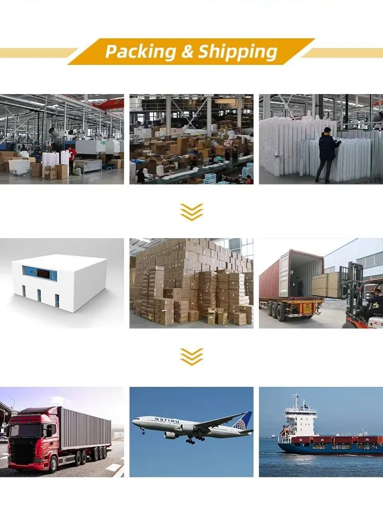 PP Material Chicken Transport Crate Corrosion Resistance Poultry Transport Box