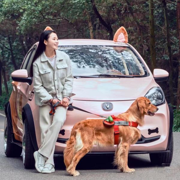 Changan Benben E-Star Electric Car 2023 Model 5 Door 5 Seats Pure Electric 75HP 301km Range 101km/h Full load weight 1150KG
