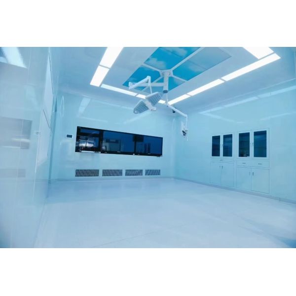 Hardwall Cleanroom Softwall Clean Room Featuring Glass Magnesium Rock Wool Sandwich Panel 50mm Ceiling and Wall Ideal for Cleanroom Solutions