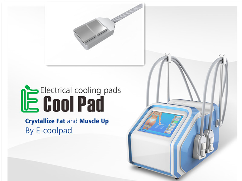 Машина 110V 60Hz Cryolipolysis дома экрана касания или высокая эффективность 220v 50Hz