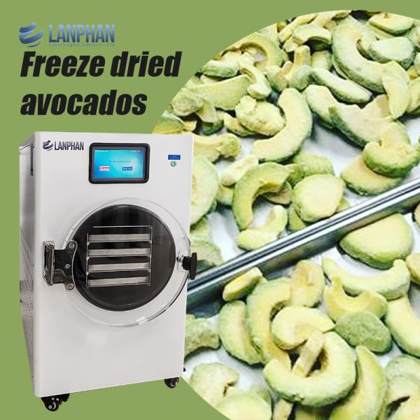 Máquina de secagem de frutas de aço inoxidável Secadora de vácuo para alimentos