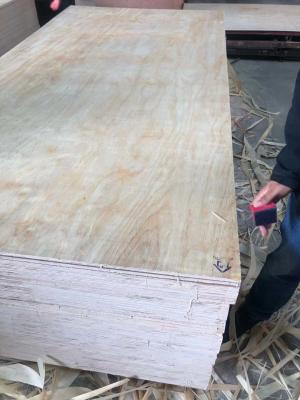 Uv Pine Veneer Laminated Plywood, Cabinet Grade Pine Plywood, UV Coated Pine Face Veneer Panel for Furniture