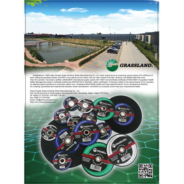 Disco abrasivo flexible de acero inoxidable de 4 pulgadas del óxido de aluminio