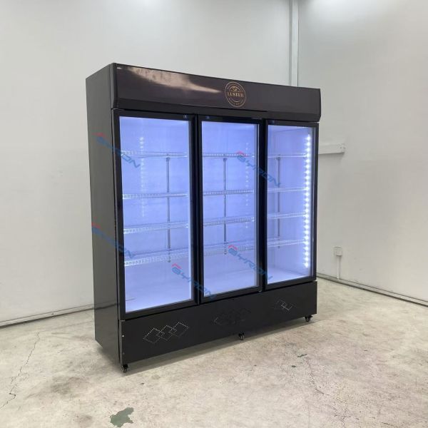 Freestanding Commercial Glass Front Refrigerator See Through Refrigerator