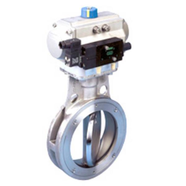 clase excéntrica 150 - del ANSI/de ASME del posicionador de la válvula de control 732E grado 1500 del cuerpo