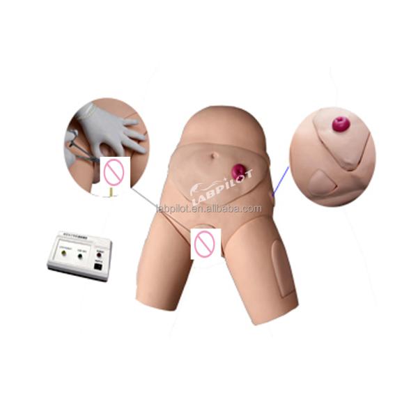Intramuscular Injection Training Model for Female Catheterization Skill Development
