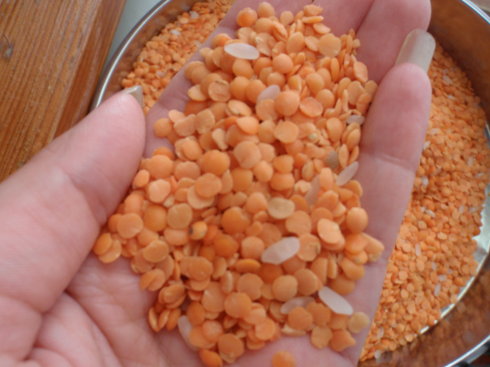 Wenyao Automatic Lentil Color Sorter Intelligent Beans Color Sorting Equipment