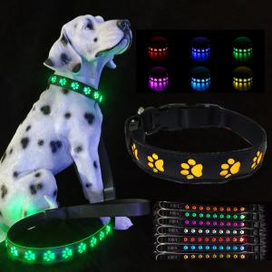 Rechargeable Led Dog Leash Illuminating Walking Night Glowing USB Rivet
