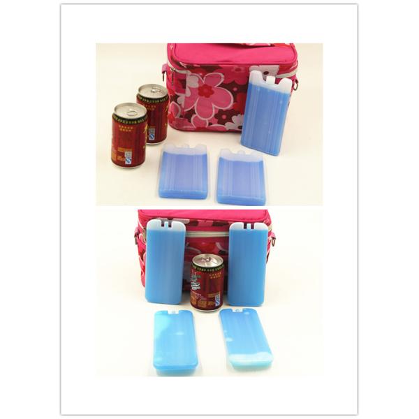 Мини пригонка и свежие крутые пузыри со льдом сумки обедают ледяные кирпичи для сумки детей портативной