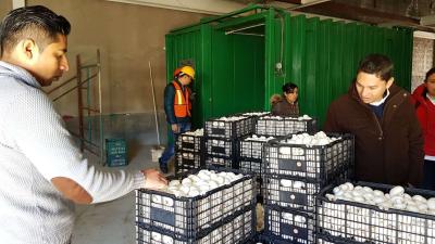 Unidade pre refrigerando elétrica de grande capacidade para a indústria da fibra química