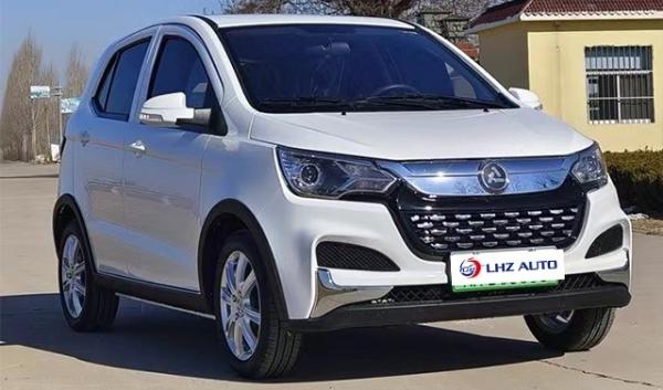 Vehículos eléctricos de cuatro ruedas más vendidos Velocidad máxima 60 Km/h 100% coche eléctrico