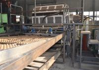 Cadena de producción de papel de la bandeja del huevo controlada por ordenador con eficacia alta