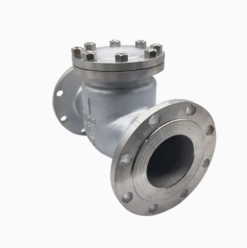 ANSI Class 100 10 Inch SS304 Stainless Steel 316 Flanged Swing Check Valve Dual Plate Check Valve