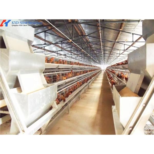 Poultry Equipment Chicken Layer Cages A Type H Type Layer Cage Automatic