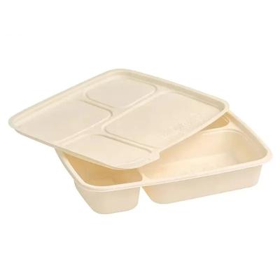 Armazenamento e recipientes Biodegradabilidade ecológica de amido de milho e amido de milho recipientes alimentares caixas de bento