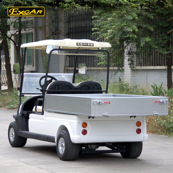 48V Trojan battery Hotel Buggy Car with 2 Seats Aluminum Chassis