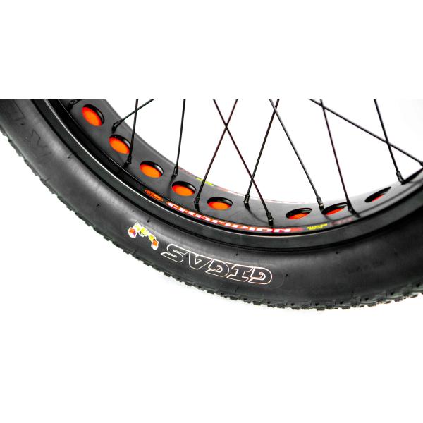 48V21AH Battery CE USA Market 750W 8FUN Front Motor 24-20inch 3 Wheels Fat Tire Electric Rickshaw