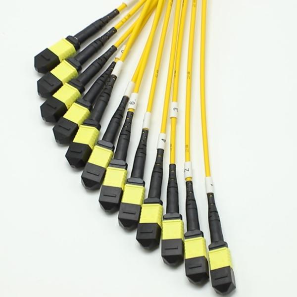 144F MTP MPO Fanout Cable SMG657A1 MPO APC to MPO APC Breakout Fiber Optic Patch Cord