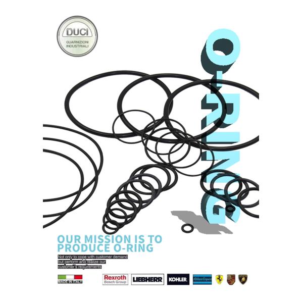 Набор уплотнения колцеобразного уплотнения CS3