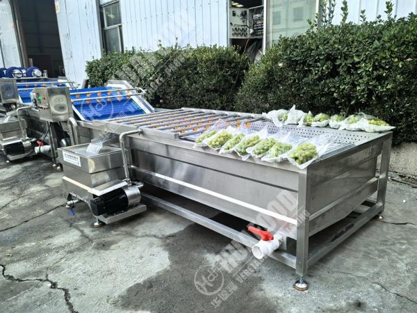 フルーツと野菜の洗濯機 羽と220V電圧