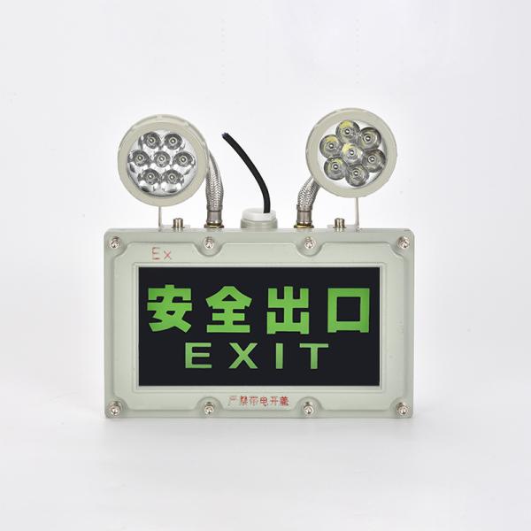Double Head 2*5W Explosion-proof Emergency Light for Fireproof Chemical Evacuation