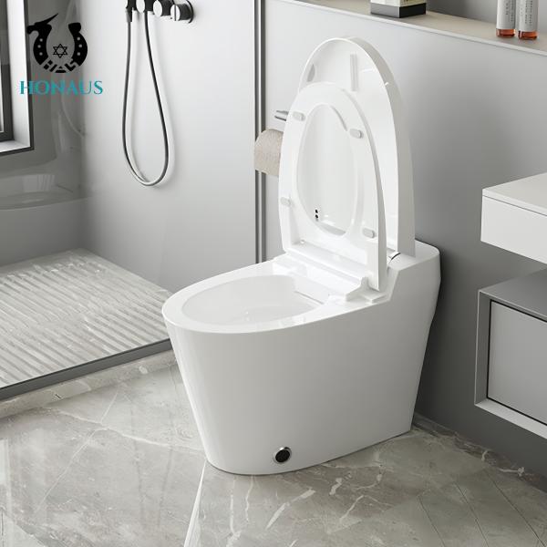 Small Size Smart Intelligent Toilet Ceramic Multi Functions Modern Design Siphonic
