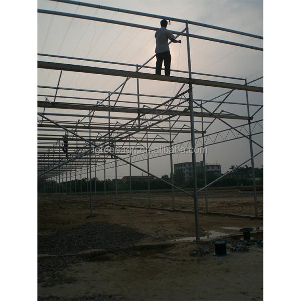 WL108Y Large IGreen Polycarbonate Panels Customized Length for Greenhouse